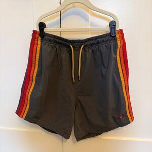 Aviator Nation Men's Stripe Flex Shorts - Titanium